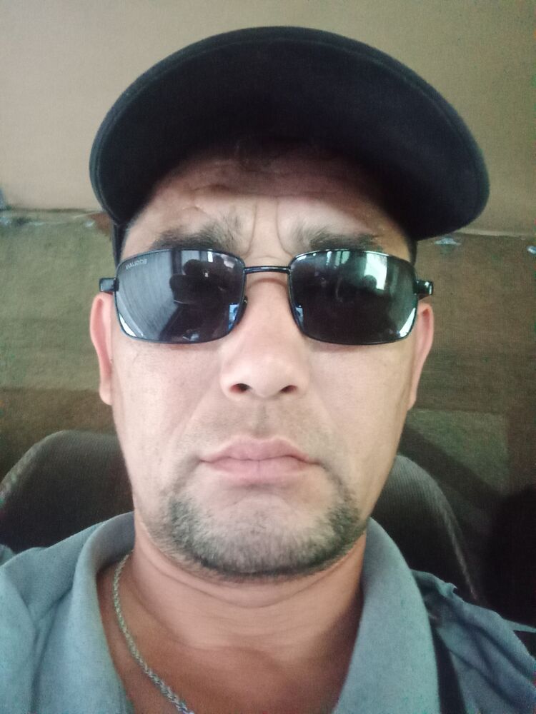  53144910  , 43 ,    -