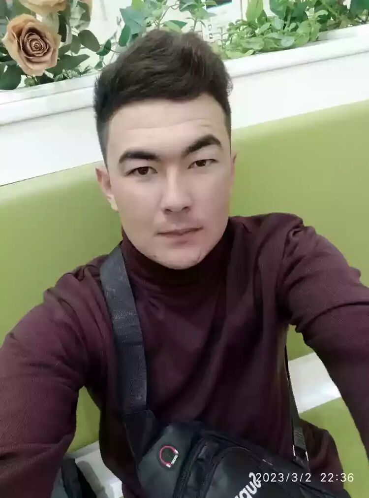 ���� 33761500 ����� Soyenchmyrat, 24 ����, ���� ���������� � �������������