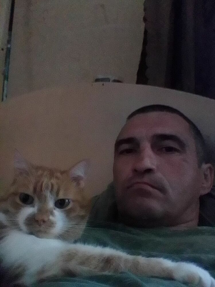  ,    , 52 ,   