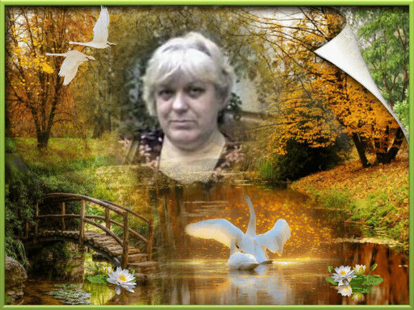  ,   , 59 ,   