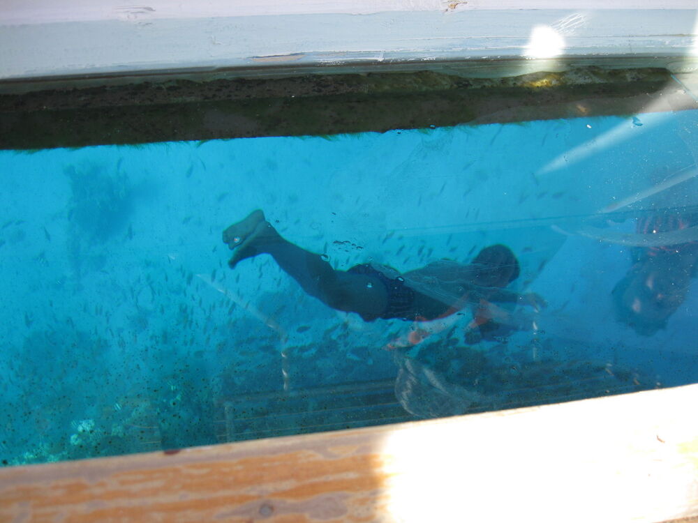  4967860  89084206077, 51 ,    