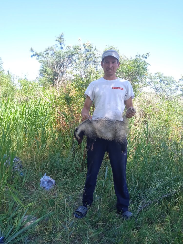 ���� 24217400 ������� Yntymak, 38 ���, ���� ���������� � �������