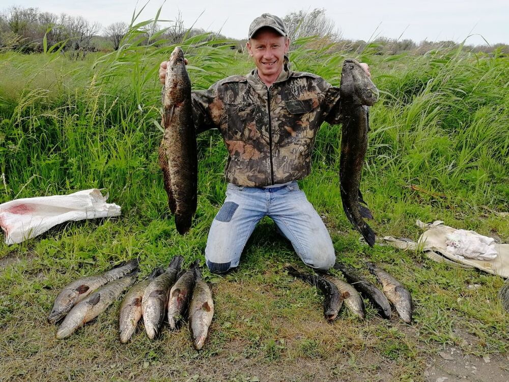 ���� 34906820 ������� ��������, 41 ���, ���� ���������� � �������-��-����