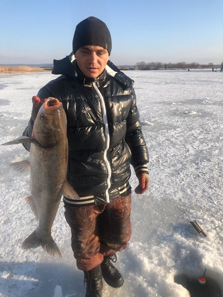  18519550  Denis, 40 ,    