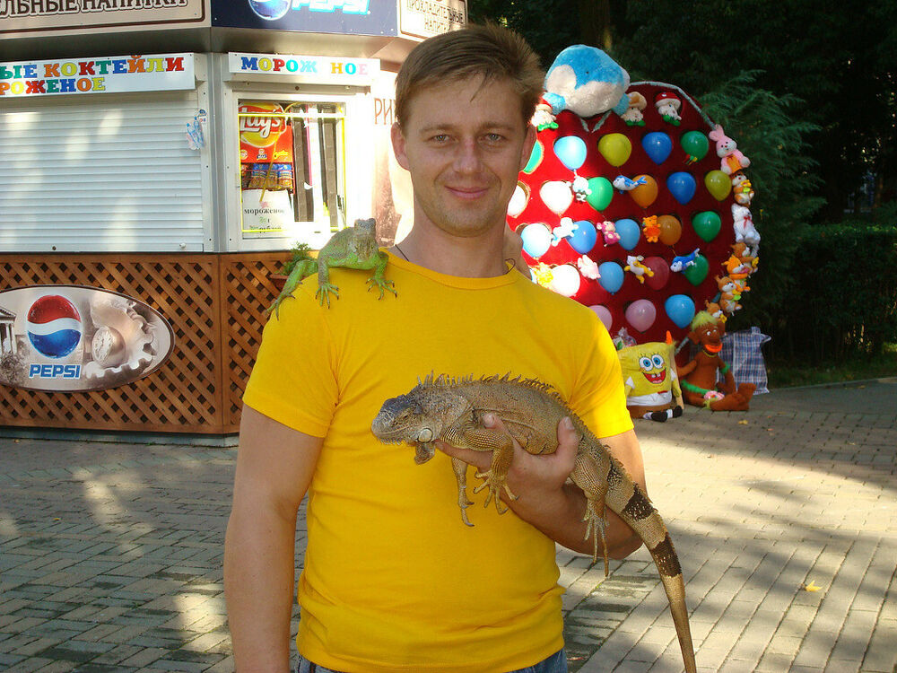 ���� 39259650 ������� �������, 38 ���, ���� ���������� � ������