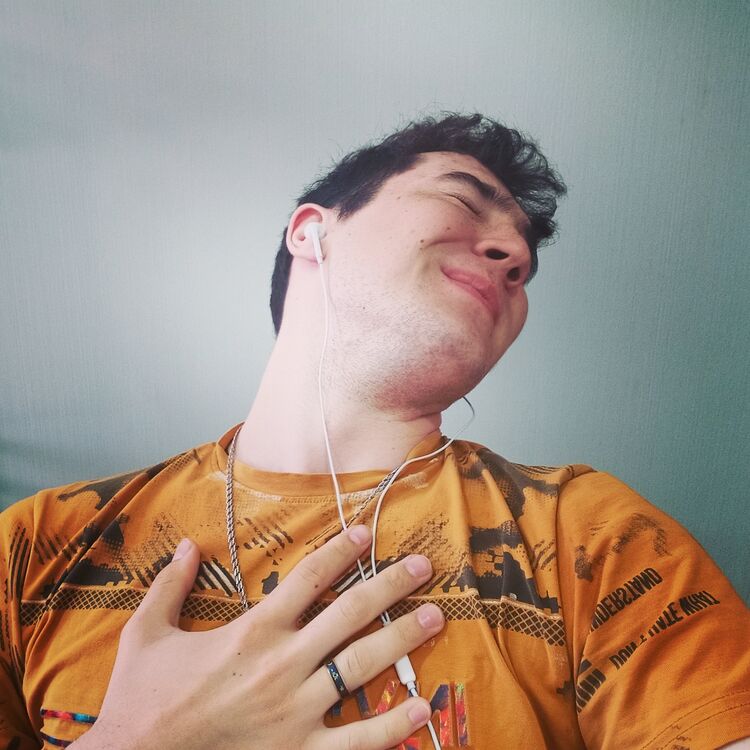  34474960  , 24 ,    