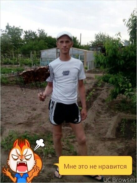 ���������� ���������, ���� ������� ���������, 41 ���, ������������ ��� ������