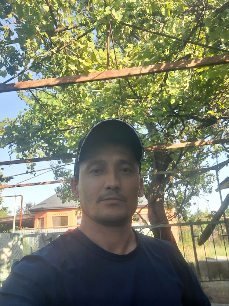 ���� 56152800 ������� Salim, 38 ���, ���� ���������� � �����