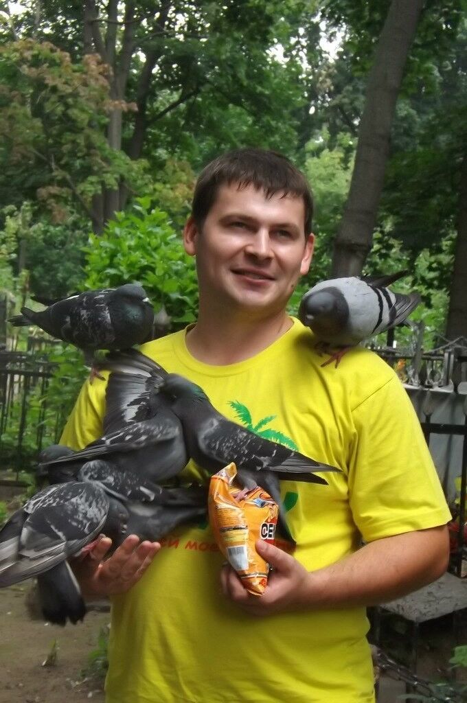 ���������� �����, ���� ������� �����, 38 ���, ������������ ��� ������, ����� � ���������, c�������� ���������