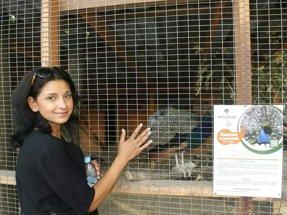 ���������� �������, ���� ������� �������, 37 ���, ������������ 