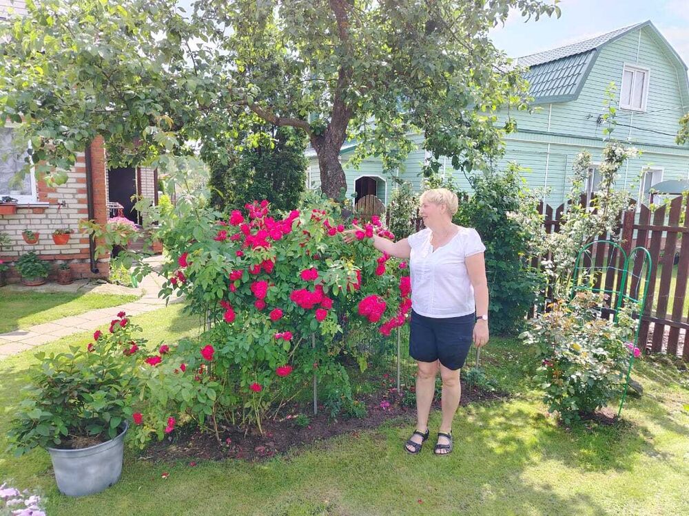 ���������� ���������, ���� ������� �������, 53 ����, ������������ ��� ������, ����� � ���������, c�������� ���������