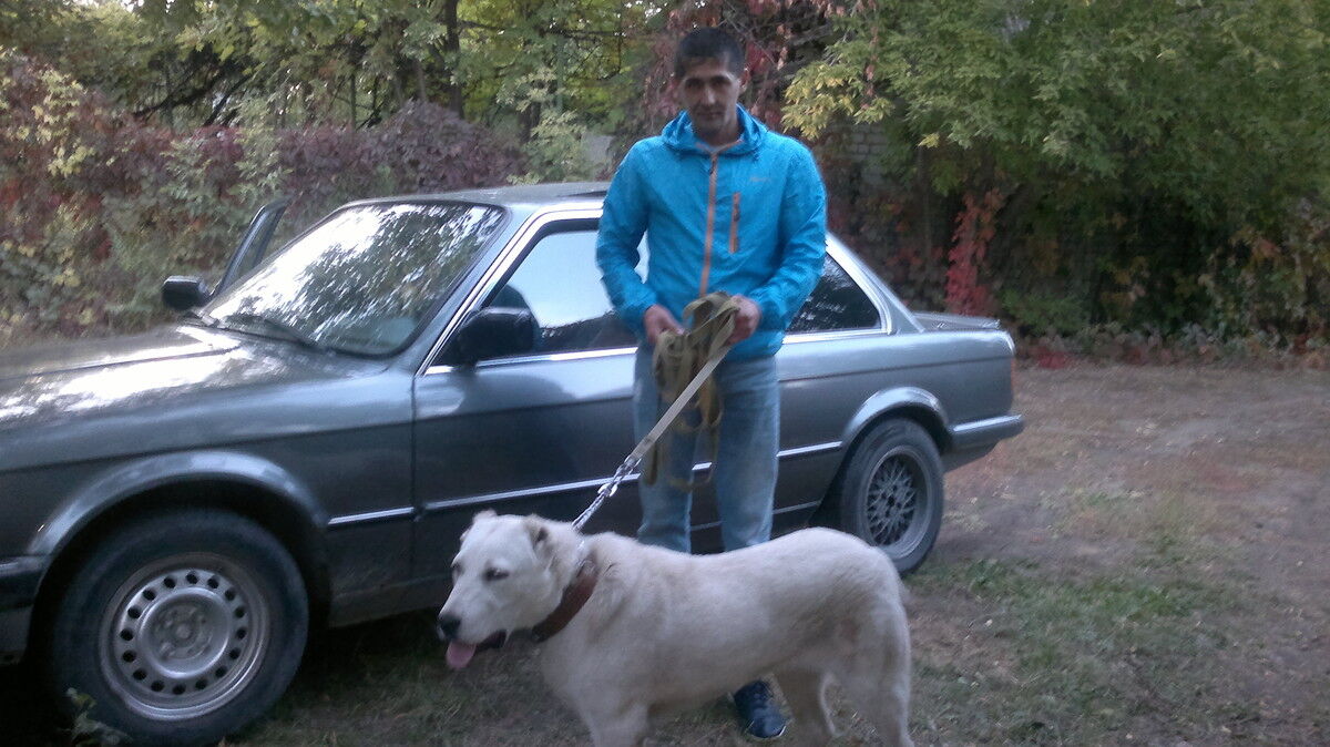  ,   Maxambet, 46 ,   