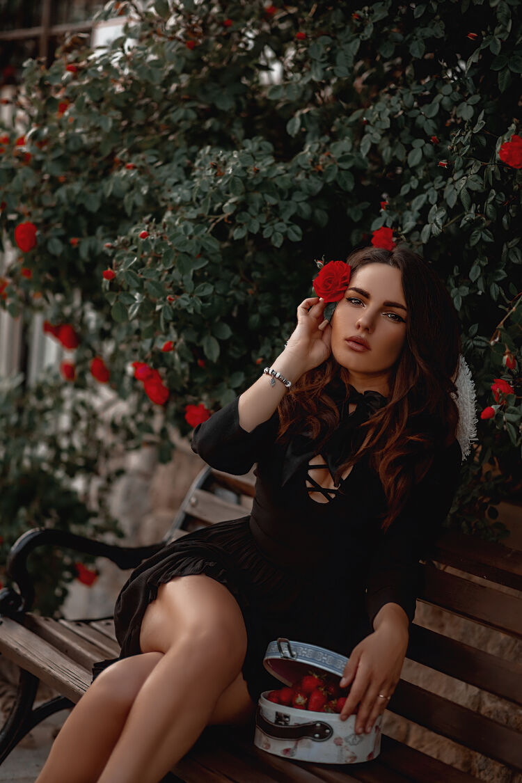 ���� 23903130 ������� ����������, 33 ����, ���� ���������� � �����������