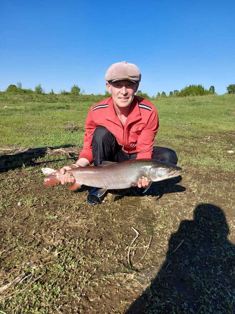  ,   , 43 ,   ,   , c , 