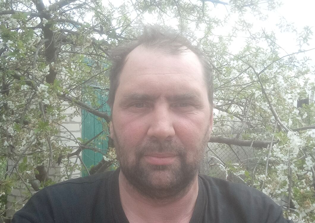  36536480  , 51 ,    