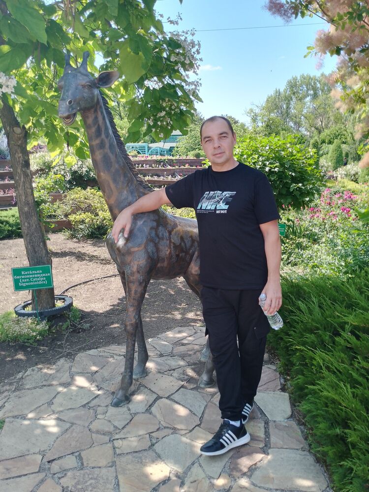 ���� 55878610 ������� �����, 45 ���, ���� ���������� � �����������