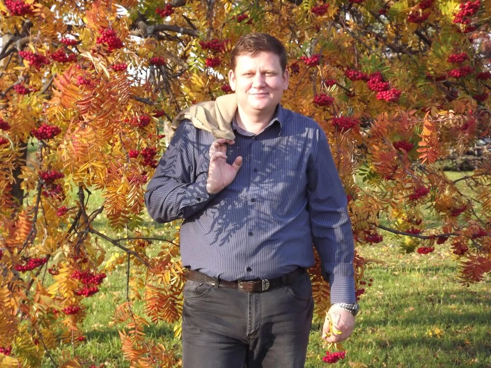 ���� 55851460 ������� ������, 48 ���, ���� ���������� � ���������