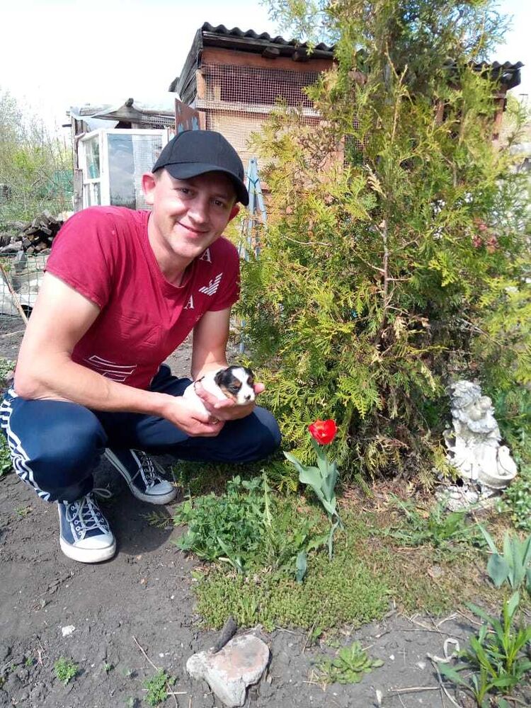 ���������� ������, ���� ������� ����, 37 ���, ������������ ��� ����� � ���������, c�������� ���������