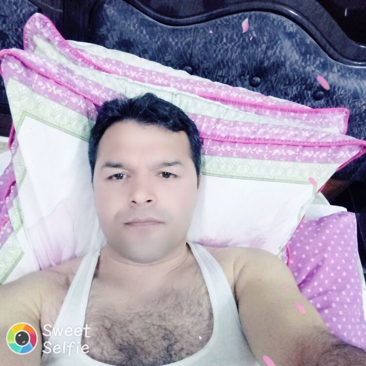  18296230  , 38 ,    