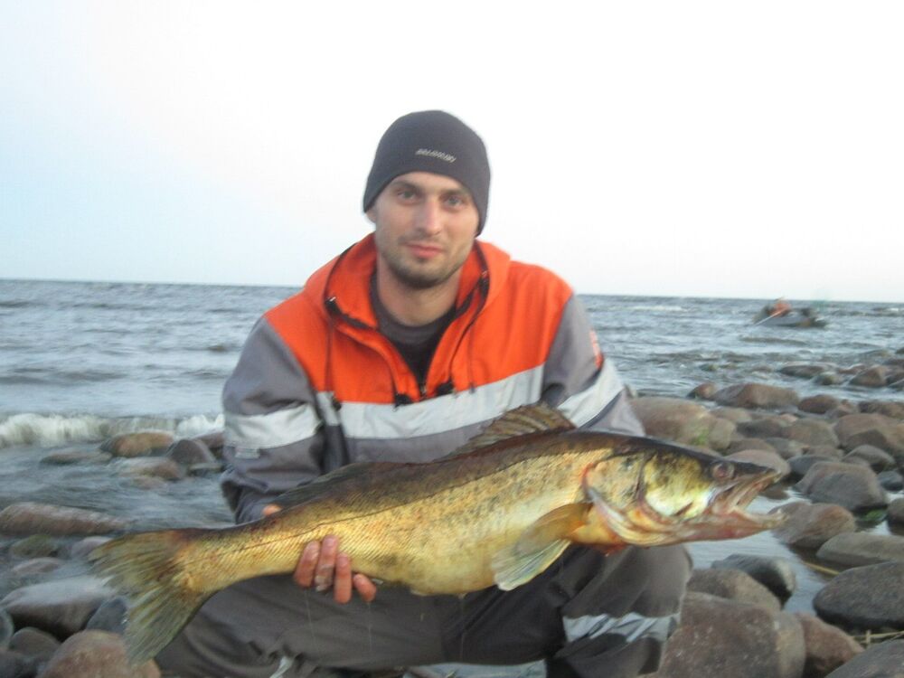 ���� 25458990 ������� �����, 41 ���, ���� ���������� � �����-����������