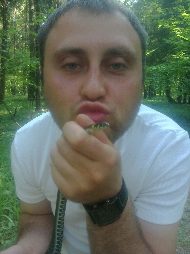 ���� 8237850 ������� �����, 38 ���, ���� ���������� � ������