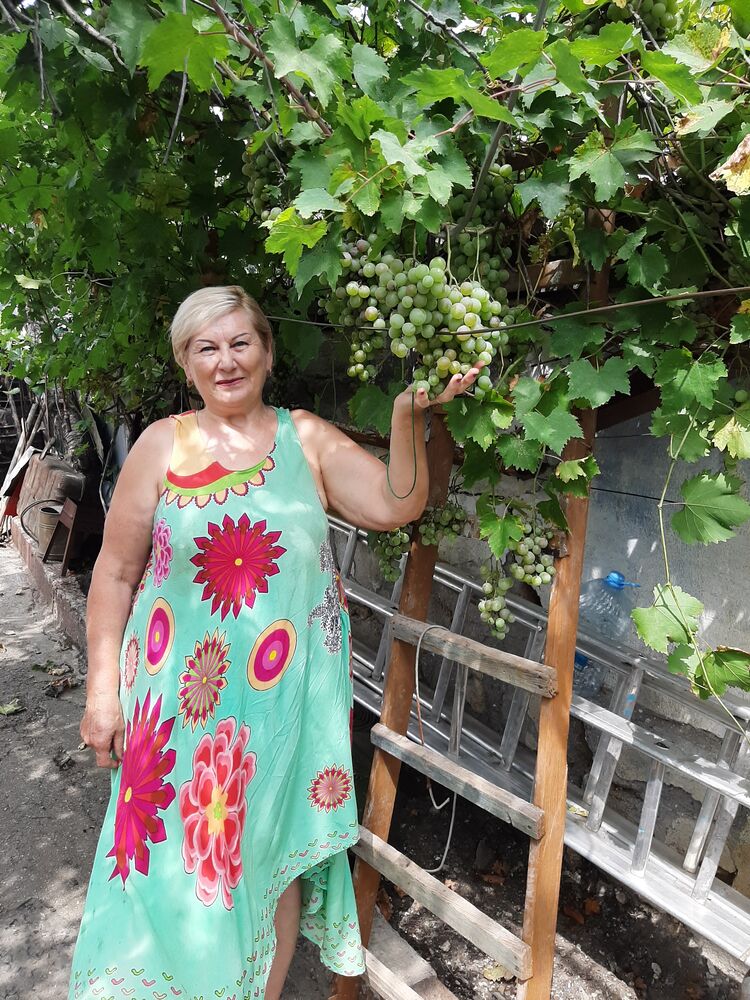 ���������� �����������, ���� ������� �����, 70 ���, ������������ ��� ����� � ���������, c�������� ���������