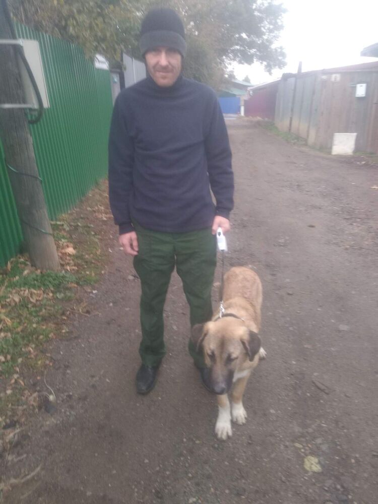 ���������� ���������, ���� ������� ��������, 39 ���, ������������ ��� c�������� ���������