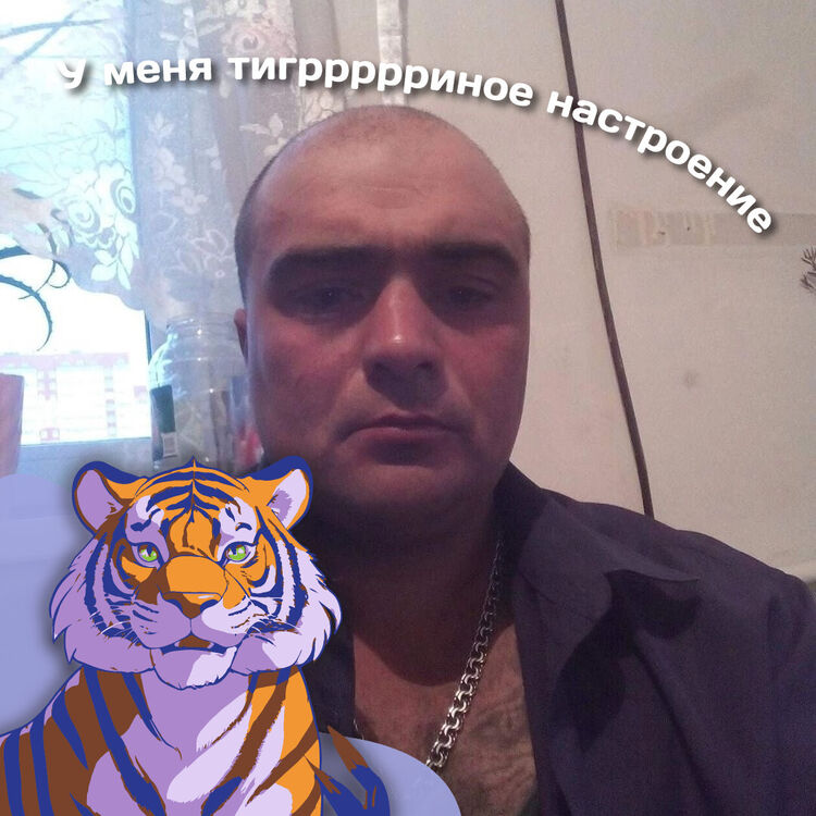 ���������� �����������, ���� ������� ������, 41 ���, ������������ ��� c�������� ���������