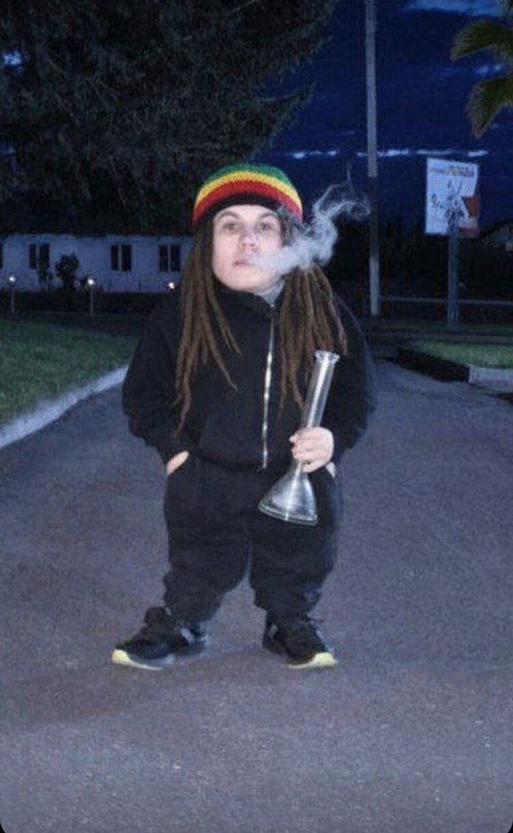  54467490  , 35 ,    -