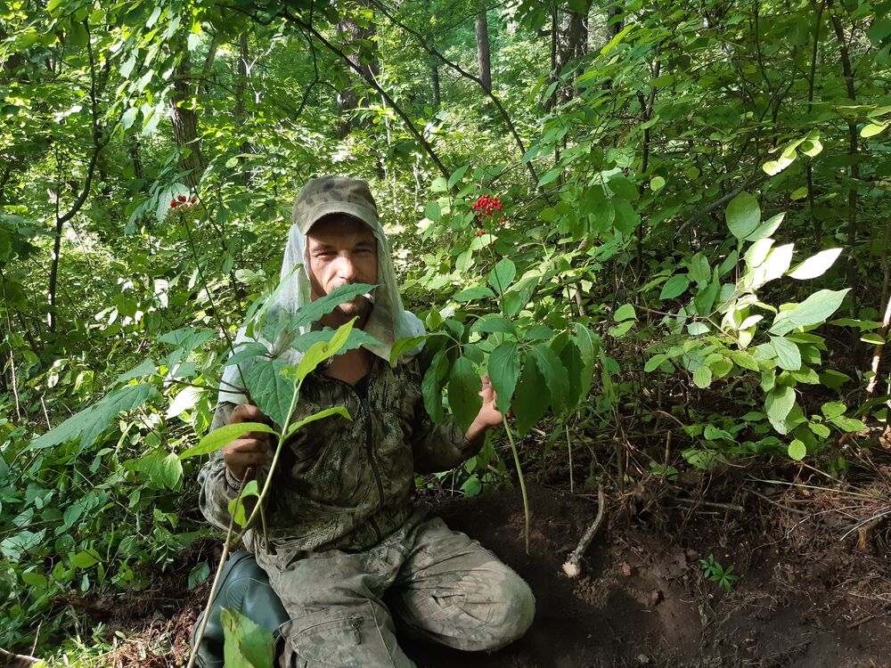 ���� 50792710 ������� �������, 38 ���, ���� ���������� � ����������