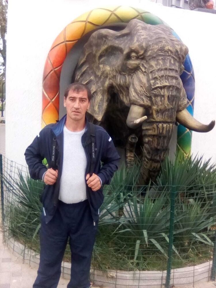 ���������� ������, ���� ������� ����, 48 ���, ������������ ��� ������, ����� � ���������, c�������� ���������