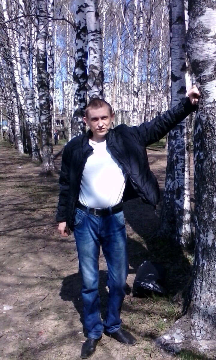 ���� 8200050 ������� ����, 48 ���, ���� ���������� � ���������