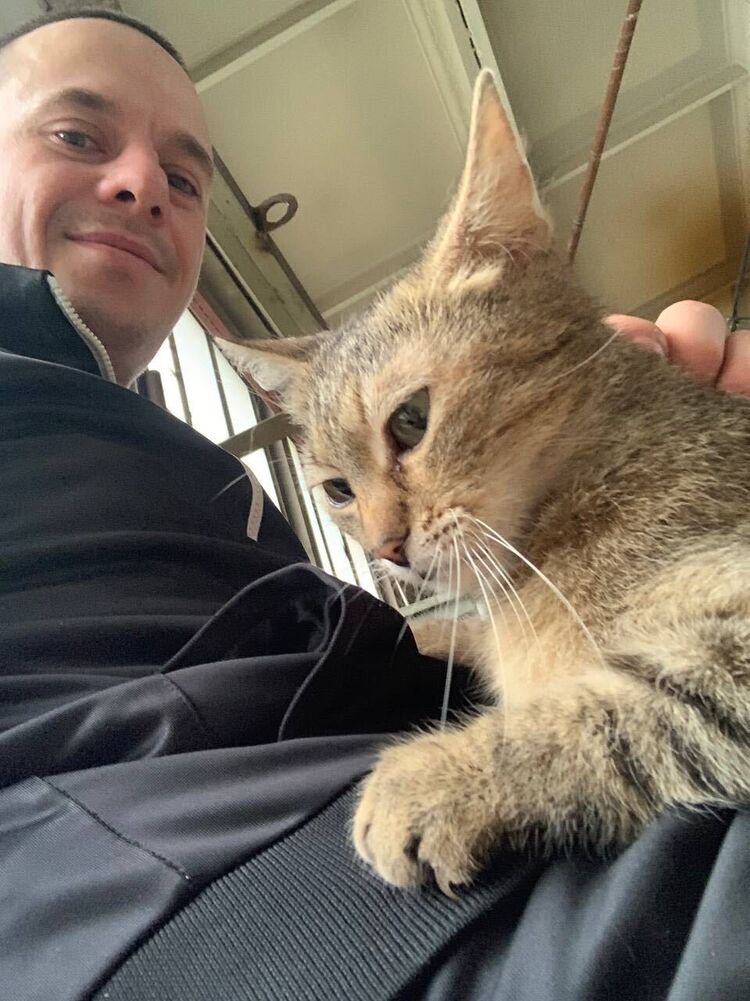  30636280  , 36 ,    -