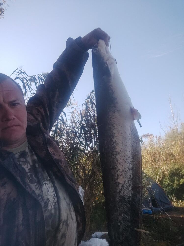 ���������� ������, ���� ������� Andrey, 42 ����, ������������ ��� ������, ����� � ���������