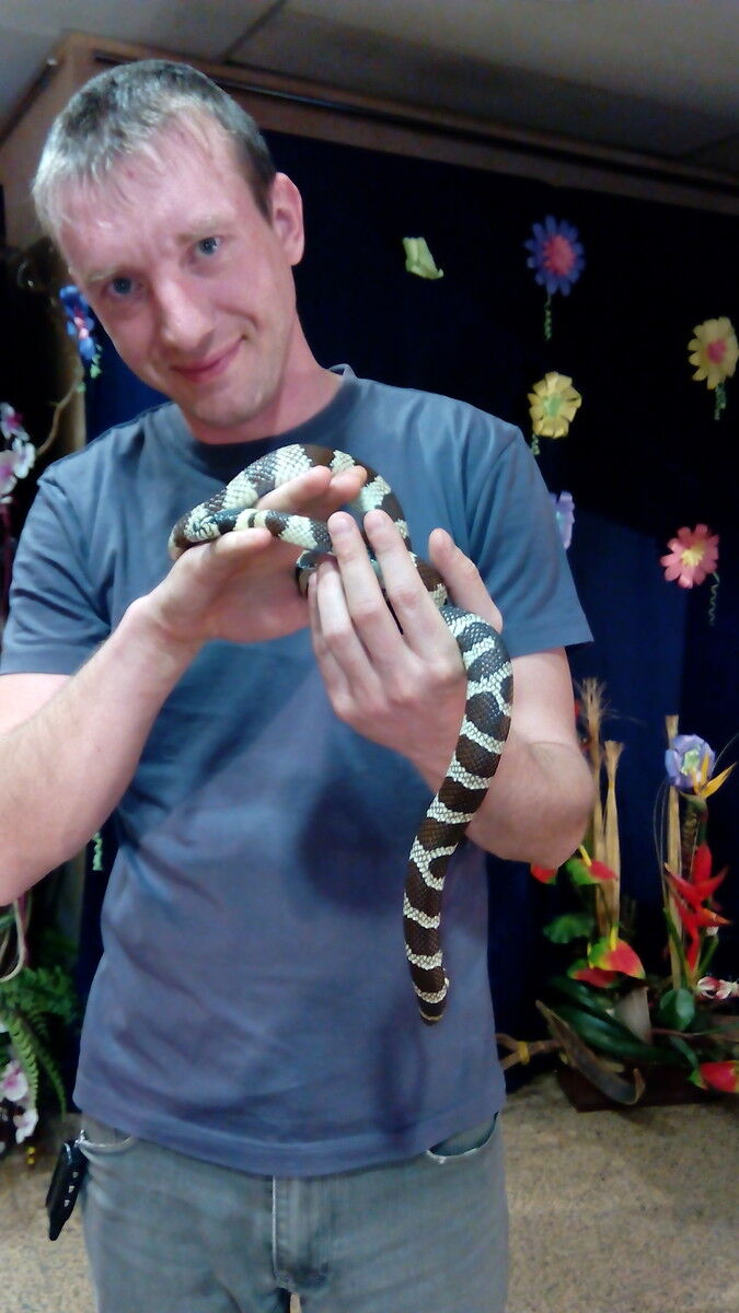 ���� 8129480 ������� ������, 41 ���, ���� ���������� � ����������