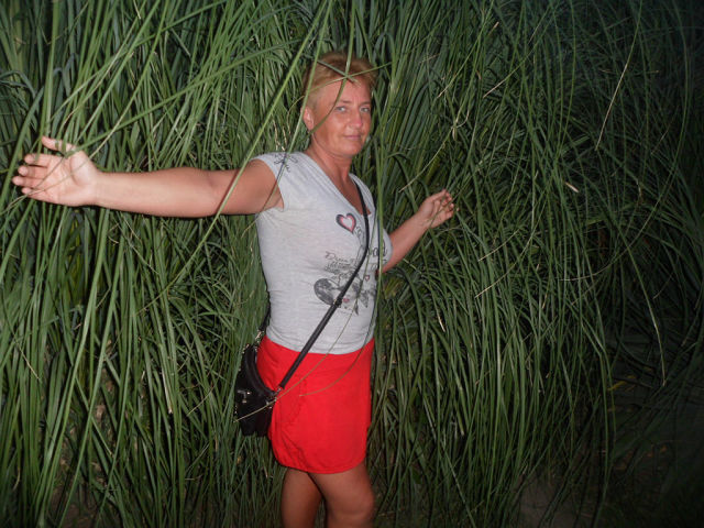 ���������� ���������, ���� ������� �����, 50 ���, ������������ ��� ����� � ���������, c�������� ���������