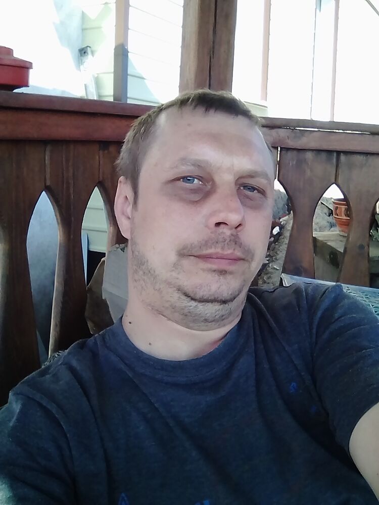  41231380  , 38 ,    