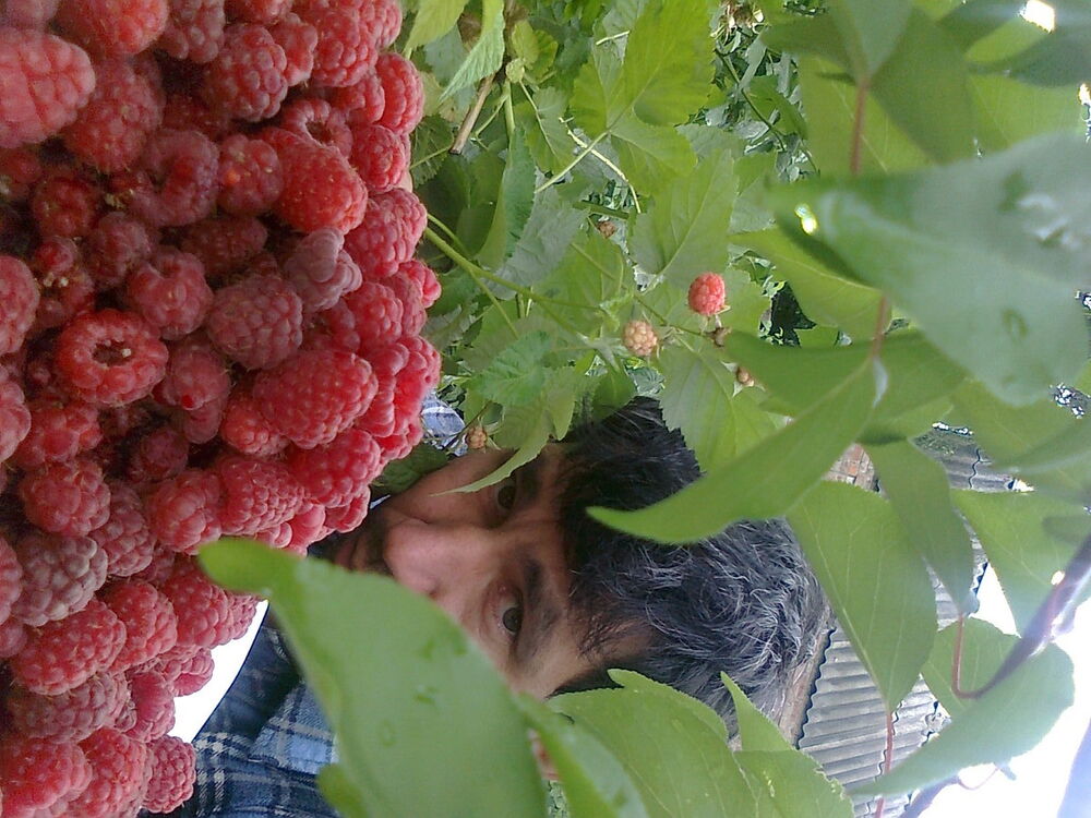  ,   , 52 ,  
