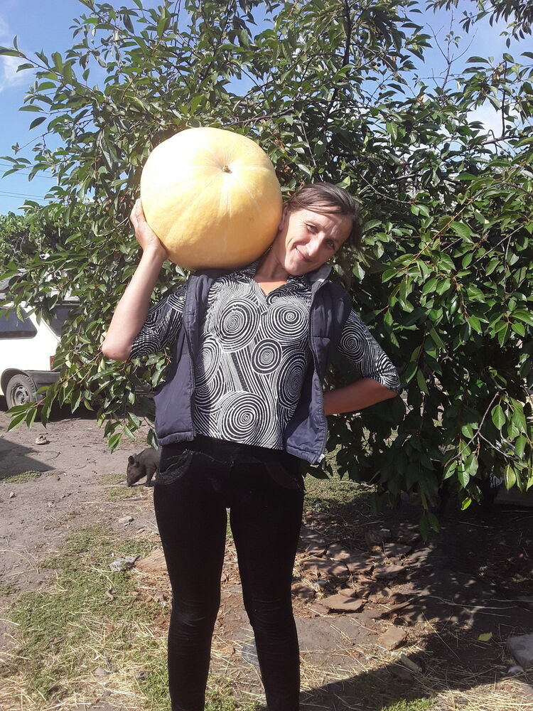 ���� 17357460 ������� ����, 40 ���, ���� ���������� � ��������