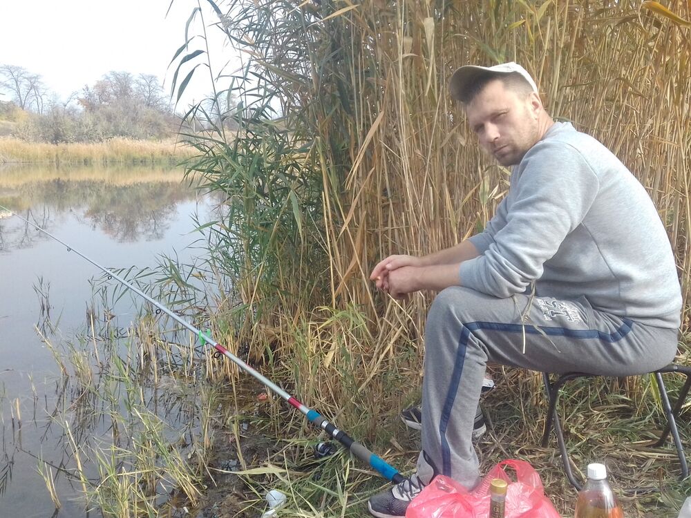 ���� 31382440 ������� ������, 44 ����, ���� ���������� � �������-��-����