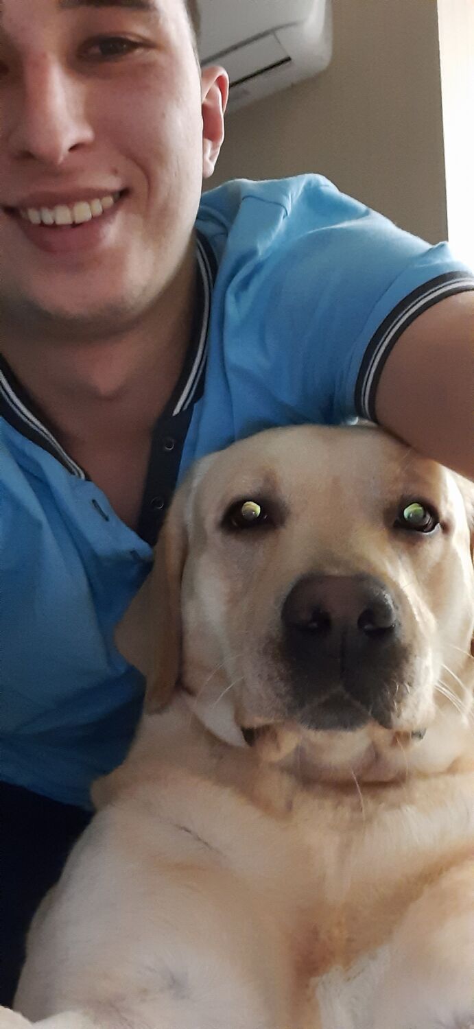 ���������� �������, ���� ������� ���������, 31 ���, ������������ ��� c�������� ���������