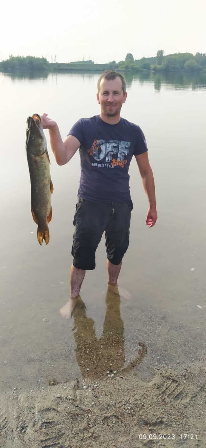 ���� 38551980 ������� ������, 42 ����, ���� ���������� � ������������