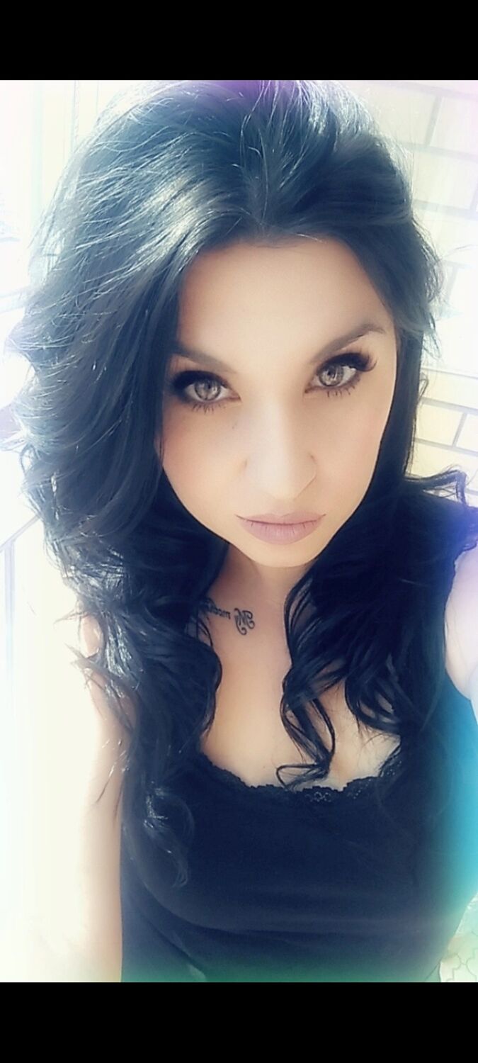  31638860  , 41 ,    
