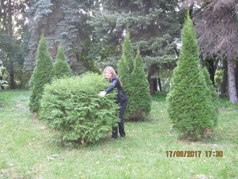  ,   , 44 ,     , c 