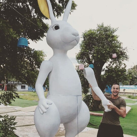 ���� 56060340 ������� �������, 40 ���, ���� ���������� � �����