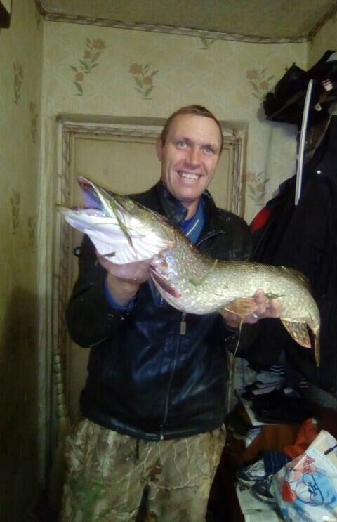 ���� 55753700 ������� �����, 41 ���, ���� ���������� � ������