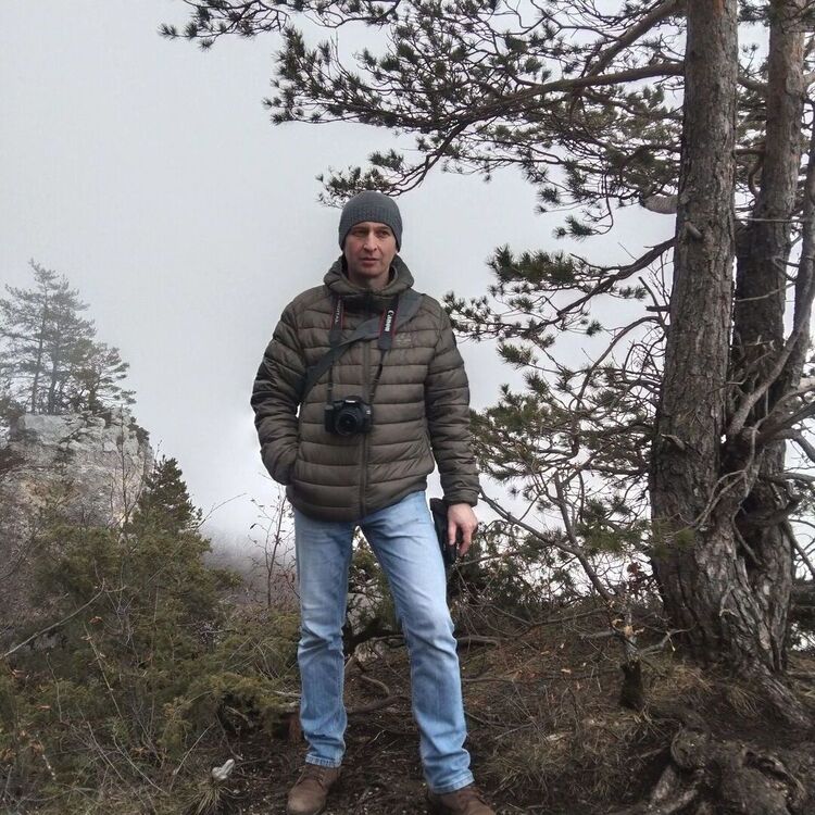 ���� 55848720 ������� �������, 50 ���, ���� ���������� � ����