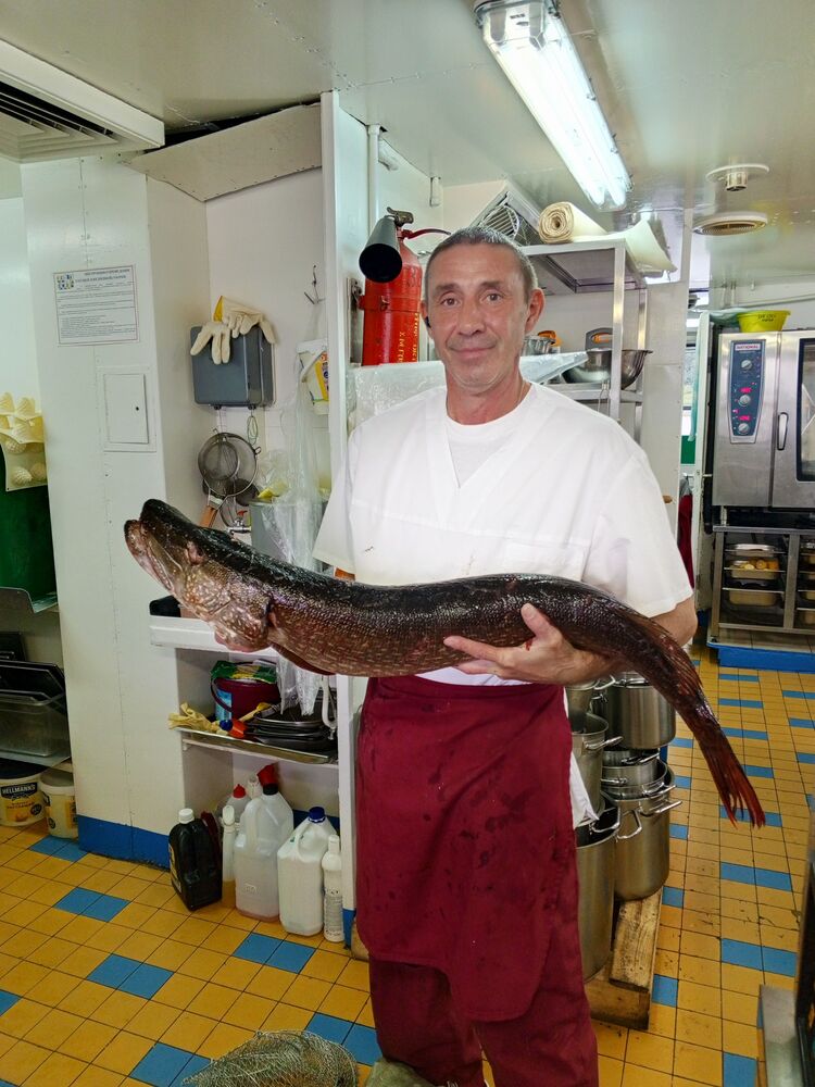 ���� 55718140 ������� �����, 50 ���, ���� ���������� � ����