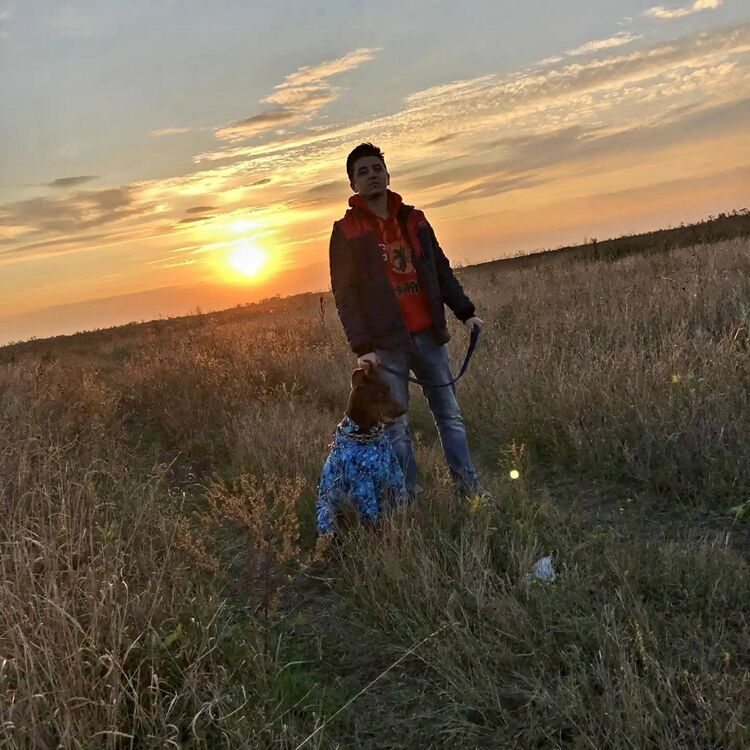 ���� 24794620 ����� ������, 24 ����, ���� ���������� � ��������