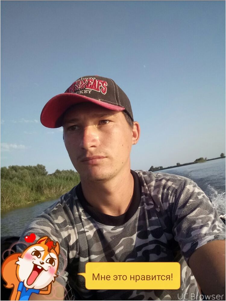  37319410  , 33 ,     